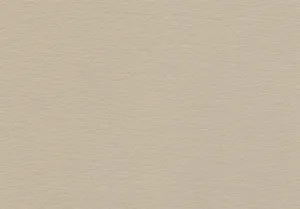 Allure Bookcloth Canvas