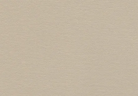 Allure Bookcloth Canvas