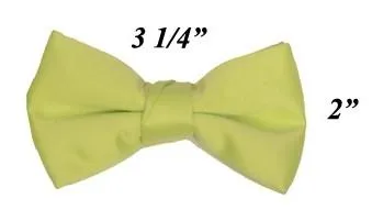 Boys Mint Green Pre-Tied Bow Tie