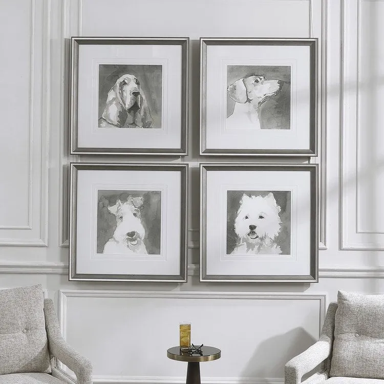 Dogs Framed Art Prints by Carissi Set of 4