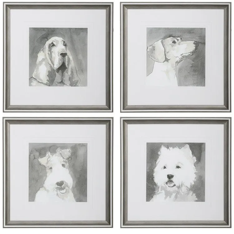 Dogs Framed Art Prints by Carissi Set of 4