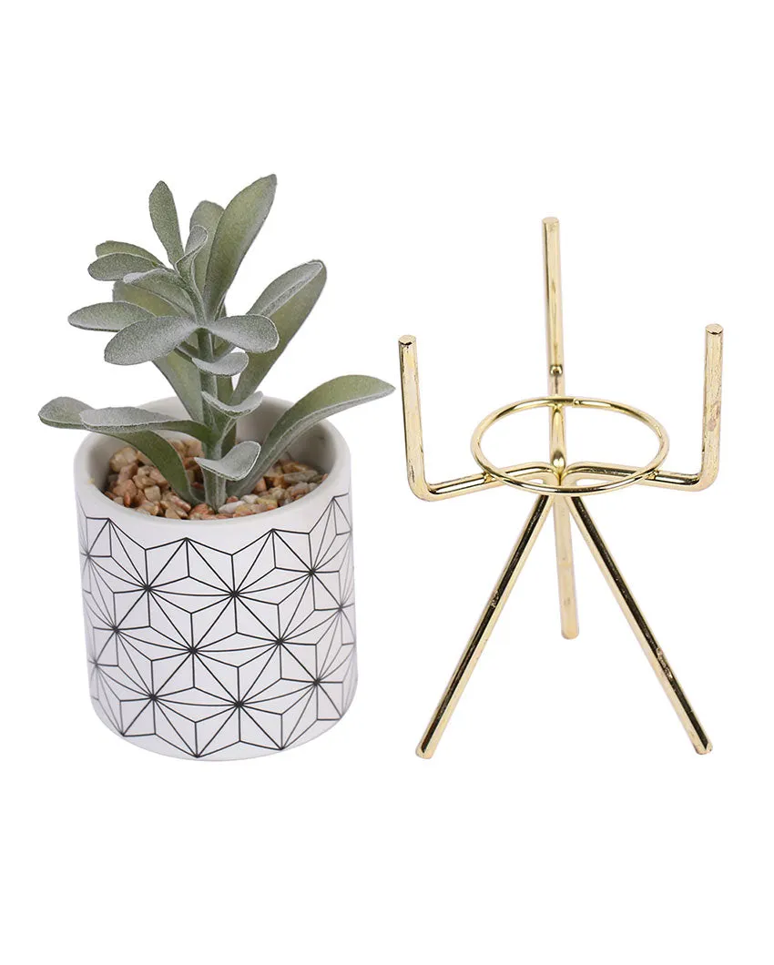 High-Rise Succulents Artificial Plant with Ceramic Pot & Metal Tripod Stand | 9 inches