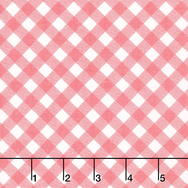 Joy in the Journey - Gingham Coral Yardage
