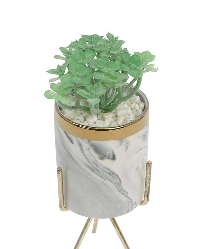 Zen Succulents Artificial Plant with Ceramic Pot & Metal Tripod Stand | 6 inches